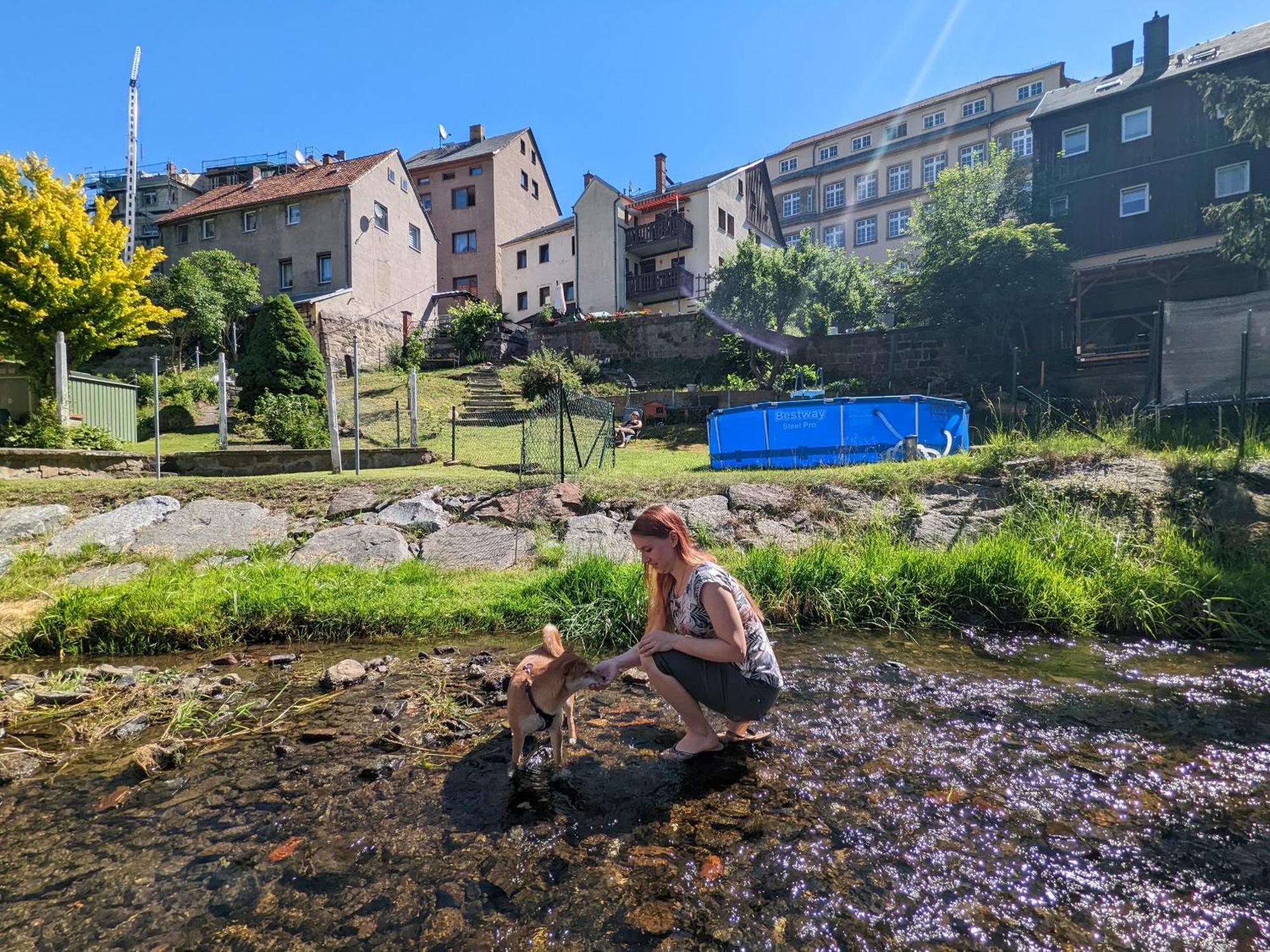 Zi1 - Urlaubsmagie - Erholung Mit Whirlpool & Sauna Sebnitz Exterior photo