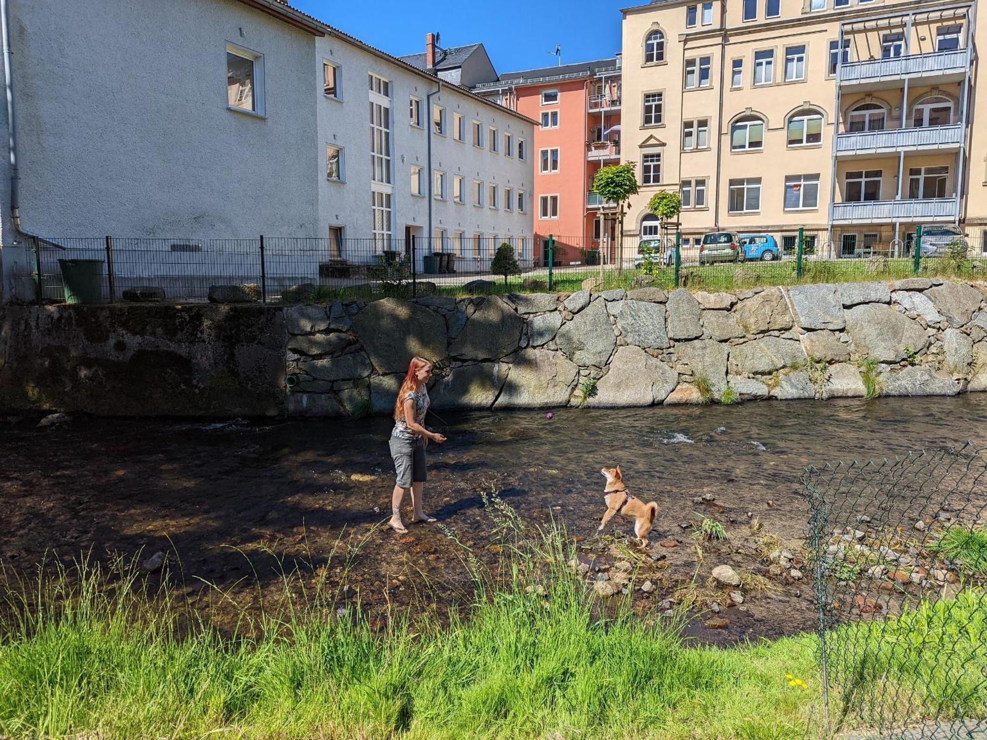 Zi1 - Urlaubsmagie - Erholung Mit Whirlpool & Sauna Sebnitz Exterior photo